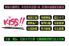 永劫无间CM单振辅助-主播陪玩红皮大号专用